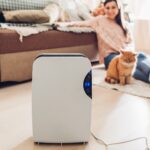 best dehumidifiers in hong kong hero