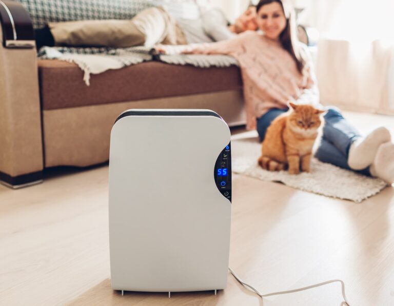 best dehumidifiers in hong kong hero